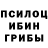 Псилоцибиновые грибы мицелий pokemonchik33