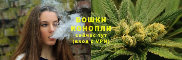 прущие крисы Гусь-Хрустальный